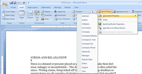 Ms Word Screen Layout