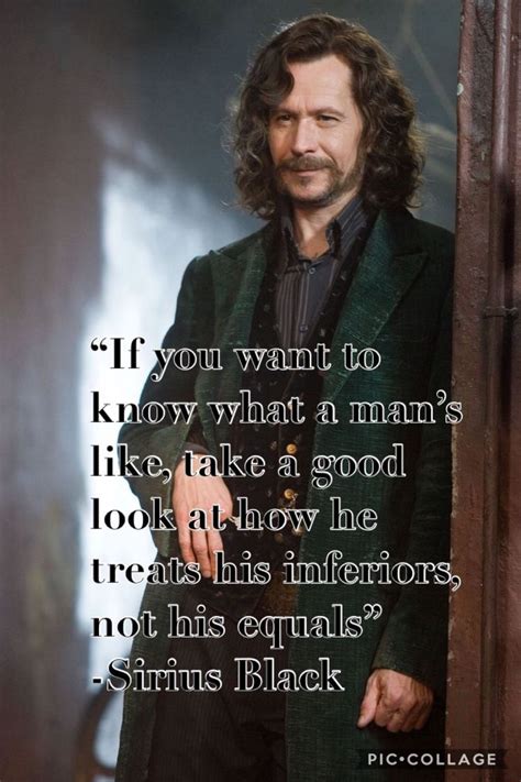 10 Sirius Black Quotes, Because Sirius Is Seriously Inspirational | Sirius black quotes, Harry ...