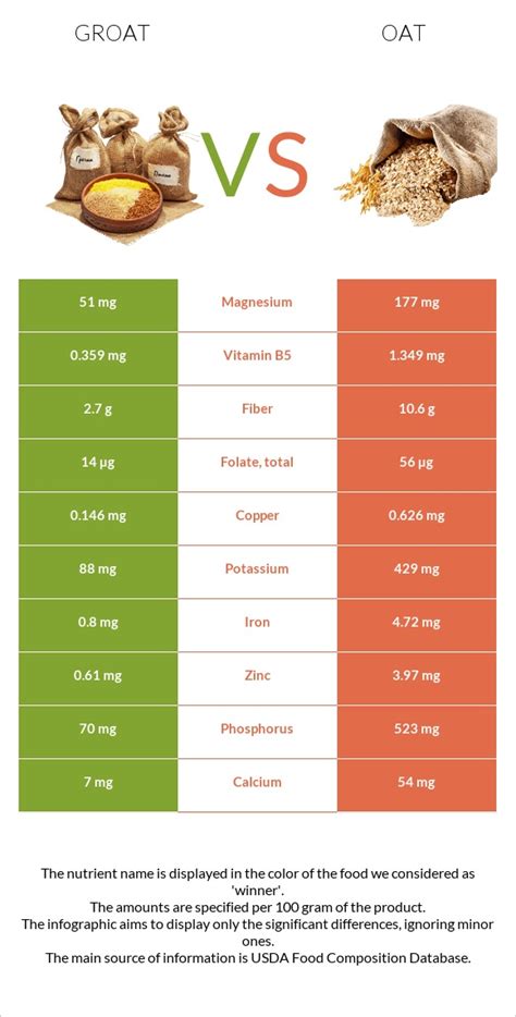 Groat vs. Oat — In-Depth Nutrition Comparison