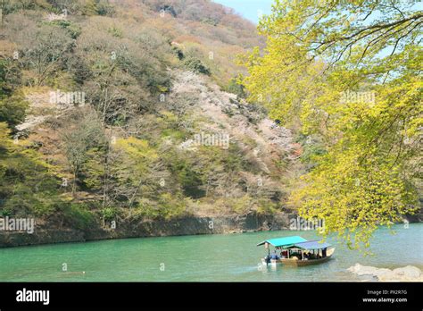 Cherry blossoms in Kyoto Arashiyama Stock Photo - Alamy