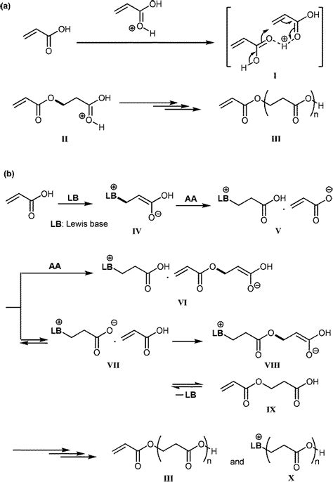 Acrylate Polymerization Mechanism