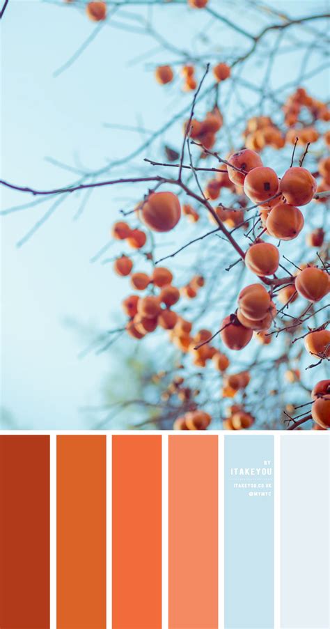 Shades of Orange and Blue Colour Combo u2013 #Colour Palette 54 ...