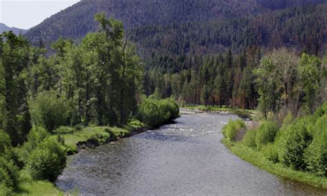 Rock Creek Montana Fishing, Camping, Rafting - AllTrips