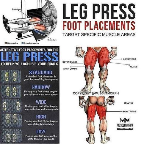 Leg Press Foot Placement | Leg press, Leg press benefits, Bigger bum ...