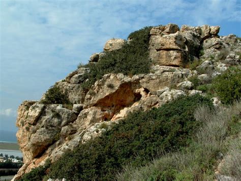 Mount Carmel National Park, haifa, Israel - Top Attractions, Things to Do & Activities in Mount ...