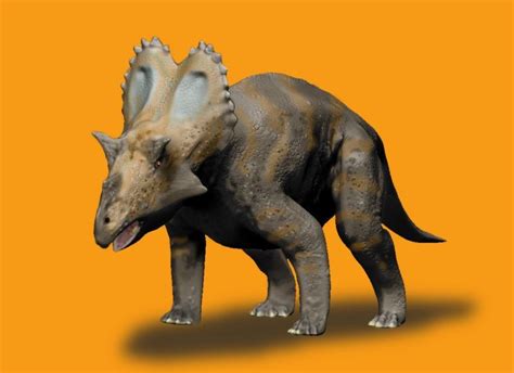 Utahceratops Pictures & Facts - The Dinosaur Database