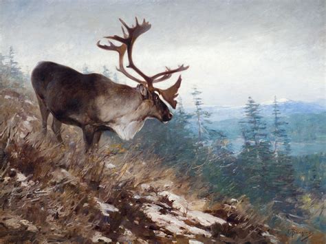 CARL RUNGIUS - Yukon King Caribou, 1907 | Art Is Long And Life Is Short | Pinterest | Wildlife ...