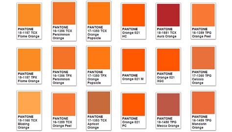 Orange Color Meaning & Symbolism | The Color Orange