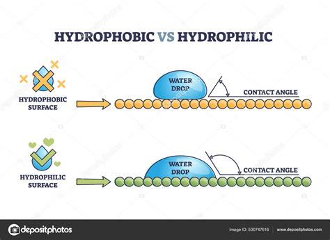 Hydrophobic vs hydrophilic surface effect on water drop outline diagram ...