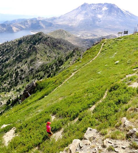 5 favorite hikes around Mount St. Helens | The Seattle Times