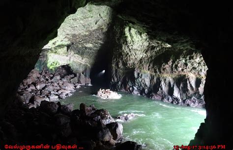 Sea Lion Caves Oregon Coast - Exploring My Life