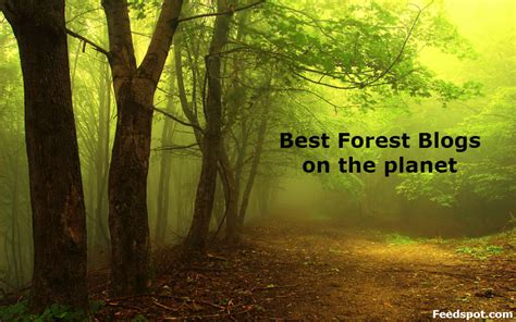 Top 70 Forest Blogs and Websites To Follow in 2021