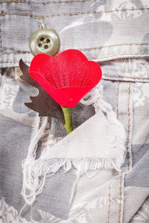 Red Poppy is a Symbol of Thailand Veterans Day Stock Image - Image of ...