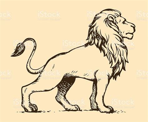 Image result for lion art clipart regal | Lion sketch, Lion illustration, Lion drawing