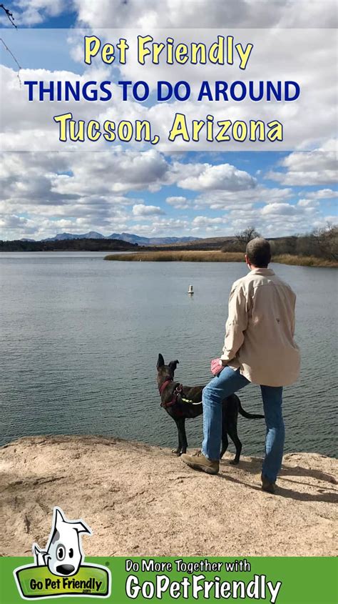 15 Dog Friendly Things To Do Around Tucson, AZ | GoPetFriendly