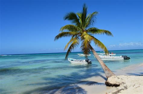 Saona Island Day Tour - Punta Cana | Project Expedition