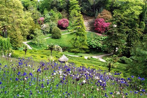 Gardens in Cornwall | Forever Cornwall