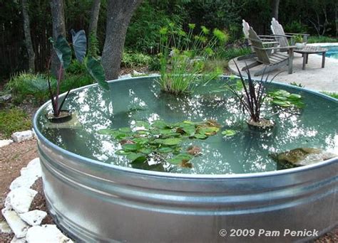 How To Make A Container Pond In A Stock Tank