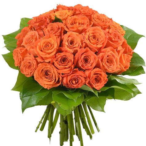 Bouquet de 30 Roses Orange - Livraison en Express | Florajet