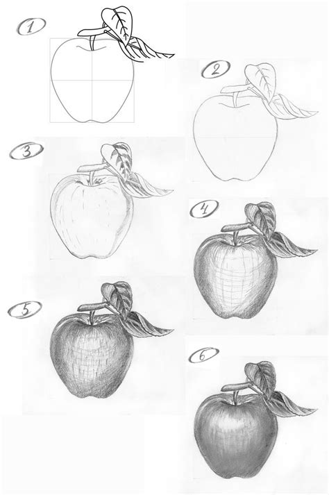 How to draw an apple with a pencil step-by-step drawing tutorial | Pencil drawings for beginners ...