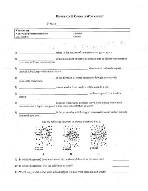 Diffusion And Osmosis Worksheet – Ame.my.id