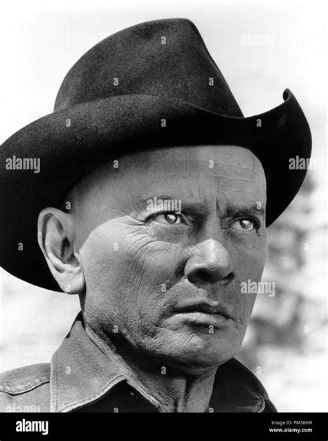 Westworld yul brynner Black and White Stock Photos & Images - Alamy