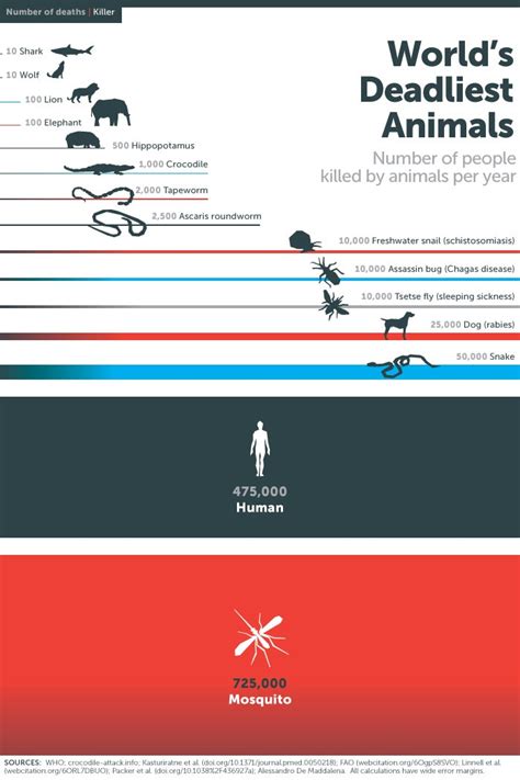 Top Ten Deadliest Animals