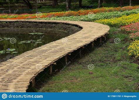 Bridge is made of bamboo. stock image. Image of flower - 179811701