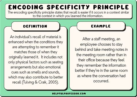 Encoding Specificity Principle: 15 Examples & Definition (2024)