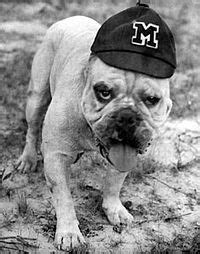 Bully (mascot) - Wikipedia, the free encyclopedia | Mississippi state, Bulldog mascot ...