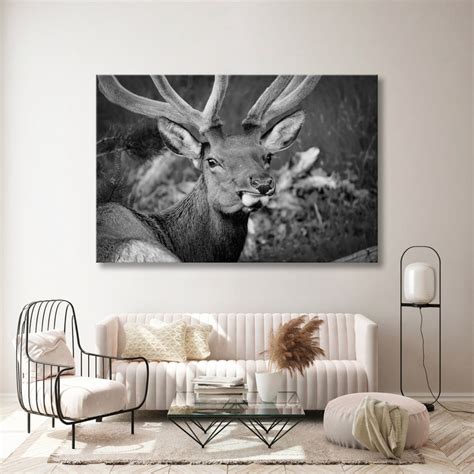 Black White Animals Canvas Art BW Deer Wall Deco BW Deer - Etsy