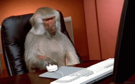 Monkey Business Annoyed GIF - MonkeyBusiness Annoyed Irritated - Discover & Share GIFs