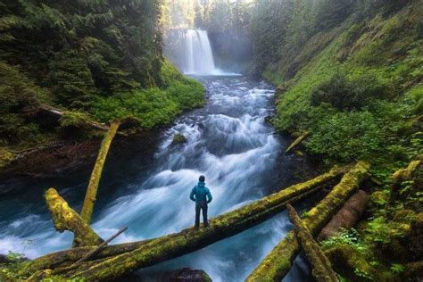 The McKenzie River Trail is a Must-Visit for Oregon Hikers and Bikers