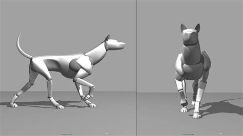 A Canine Walk Cycle | Dog animation, Walking animation, Animation mentor