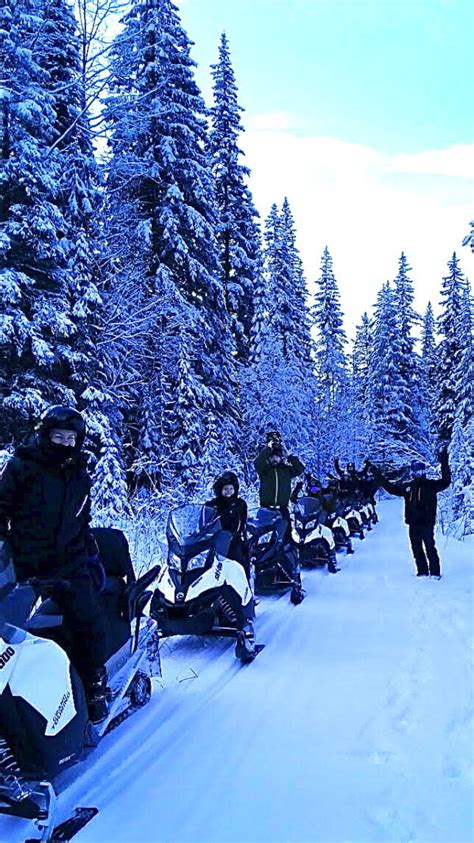 2-hour Half Day Snowmobile Tour in Golden - Try Out a New Winter Activity! White N' Wild ...