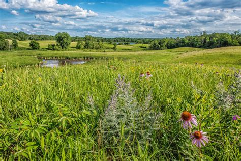 Sibley State Park – Parks & Trails Council of Minnesota