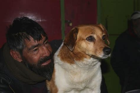 Homeless People & Pets Project. — The Global Alliance for Animals and ...