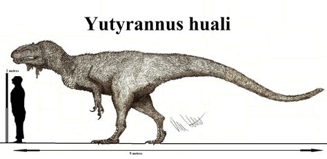 Yutyrannus huali | Wiki | Amino Paleontología Amino