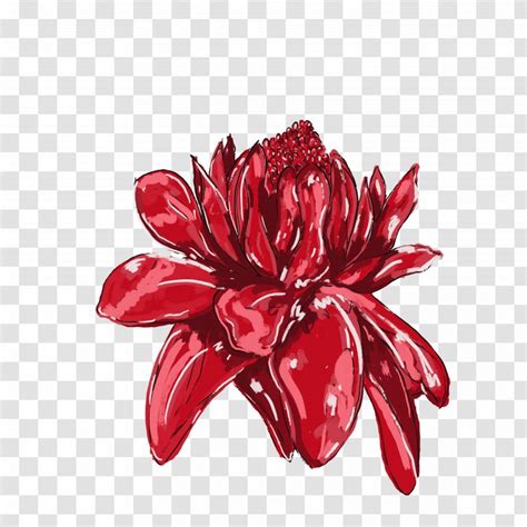 Flower Drawing Clip Art Jamaica Design - Artist - Anzac Transparent PNG