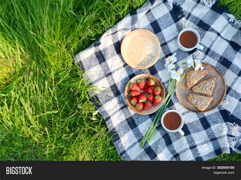 Picnic Park On Green Image & Photo (Free Trial) | Bigstock