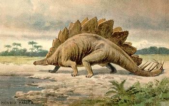 Stegosaurus Facts: Lesson for Kids | Study.com