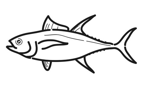 Yellowfin Tuna Drawing | Free download on ClipArtMag