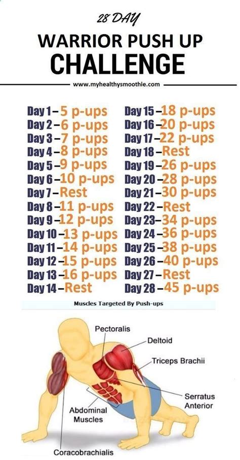 pushup workouts, push up workout benefits, abs workout, abs workout routine, ab workouts for 6 ...