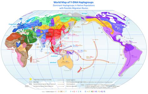 Haplogroup Map: Y DNA v mtDNA - Your DNA Guide - Diahan Southard