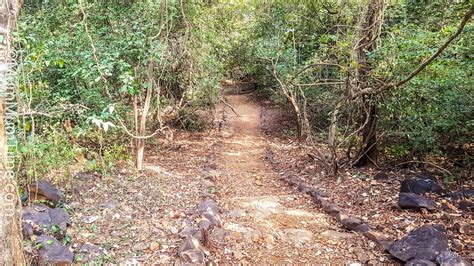 Karnala Bird Sanctuary: One-Day Picnic Spot Near Mumbai