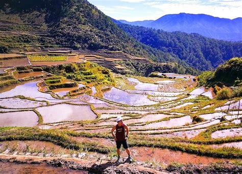 Maligcong Rice Terraces: The Wonderful Gem of Bontoc - The Pinoy Traveler