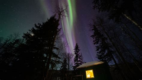 Dog Sled To Tolovana Hot Springs | Fairbanks, Alaska | Arctic Dog Adventure Co.