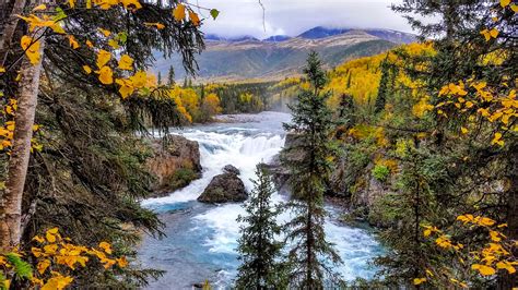 Vegetation Inventory and Map for Lake Clark National Park and Preserve (U.S. National Park Service)