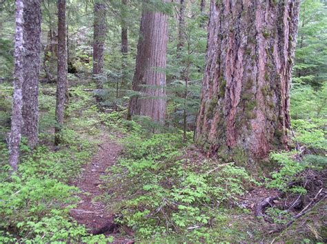 Pyramid Lake Trail - North Cascades National Park (U.S. National Park Service)