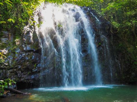 26 Best Swimming Holes & Waterfalls near Cairns with Map